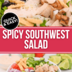 Two views of the spicy southwest chicken salad.