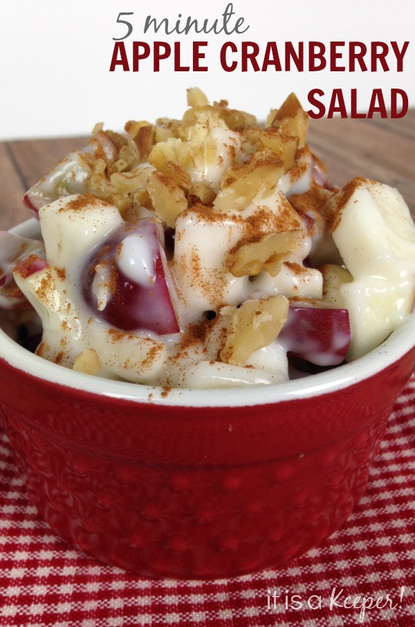 This 5 Minute Apple Cranberry Salad is an easy and healthy snack recipe