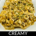 Creamy pan-seared pork chops plated elegantly on white dish.