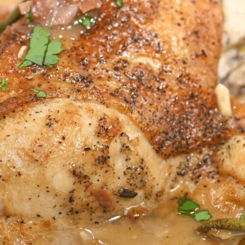 Close-up of a seasoned and cooked Herbed Lemon Chicken breast with herbs and a creamy sauce.
