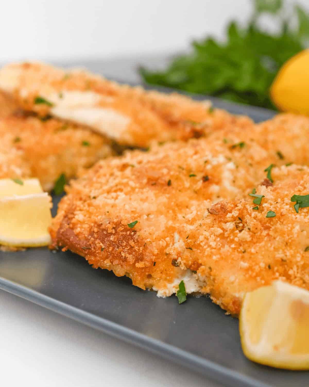 Parmesan herb crusted fish fillets on a plate with lemons and parsley.