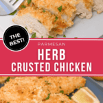 Parmesan herb crusted chicken on a plate with lemon slices.