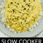 Tender slow cooker Italian dressing chicken served on a white plate.