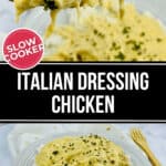 A close up of Italian dressing chicken.