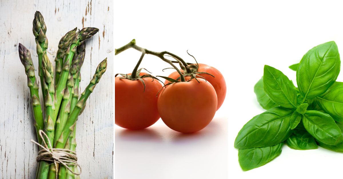 Three panels showing ingredients for a fresh salad: asparagus on the left, tomatoes in the center, and basil on the right, against white backgrounds.