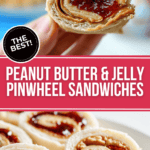 A hand holding a PBJ Sushi.