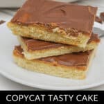 Two delightful pieces of chocolate peanut butter cake are elegantly stacked on a plate. The text at the bottom proclaims, "Copycat Tasty Cake, Chocolate Peanut Butter Cake," capturing the essence of this indulgent dessert.