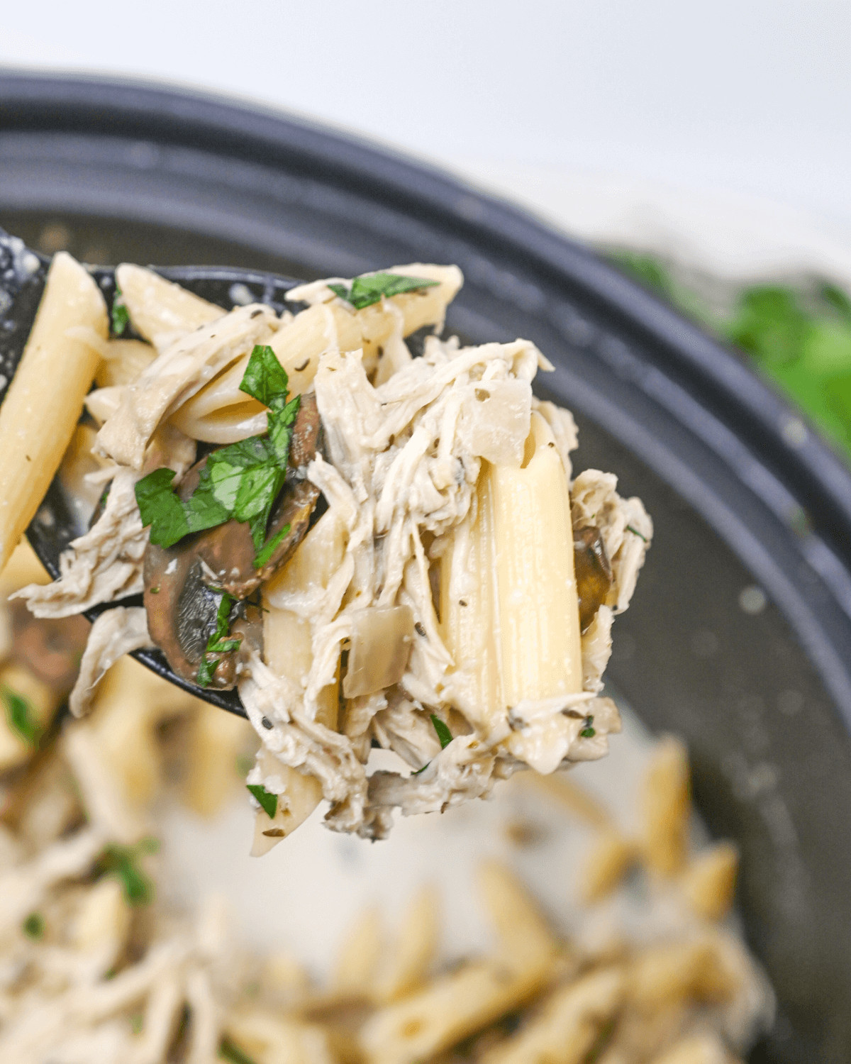 Slow Cooker Chicken Pasta with Mushrooms.