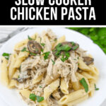 Slow cooker chicken pasta with mushrooms on a white plate.