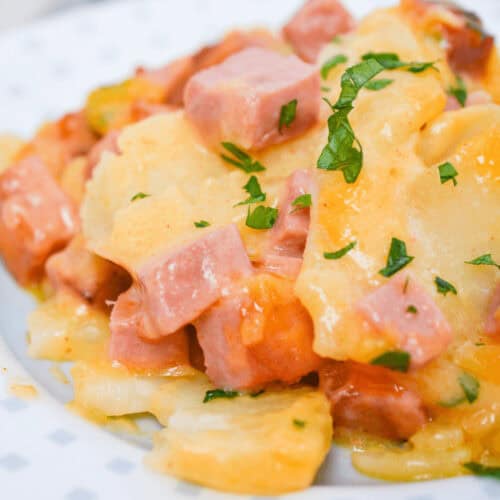 A plate of Cheesy Ham and Potato Casserole, featuring scalloped potatoes mixed with diced ham and garnished with chopped parsley.