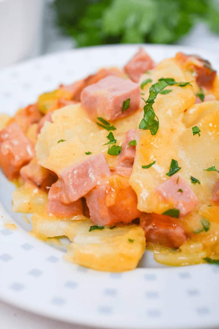 A plate of Cheesy Ham and Potato Casserole, featuring scalloped potatoes mixed with diced ham and garnished with chopped parsley.