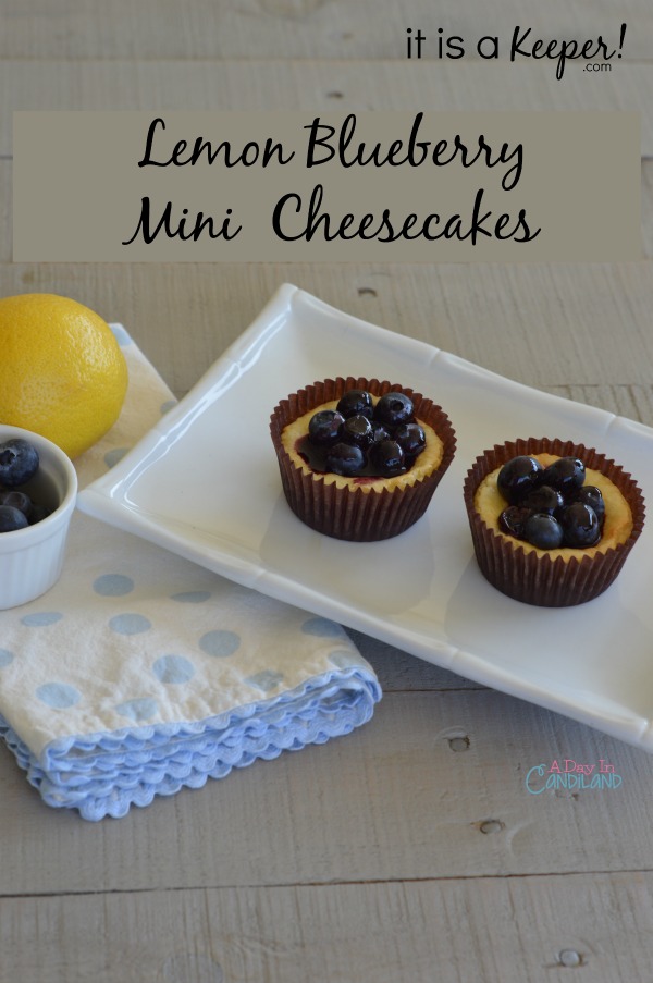 Lemon blueberry mini cheesecakes hero its a keeper