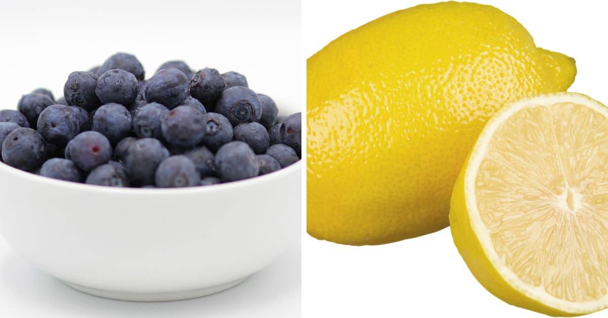 A bowl of blueberries on the left and a whole lemon with a halved lemon on the right, set against a white background, evoke thoughts of fresh blueberry syrup.