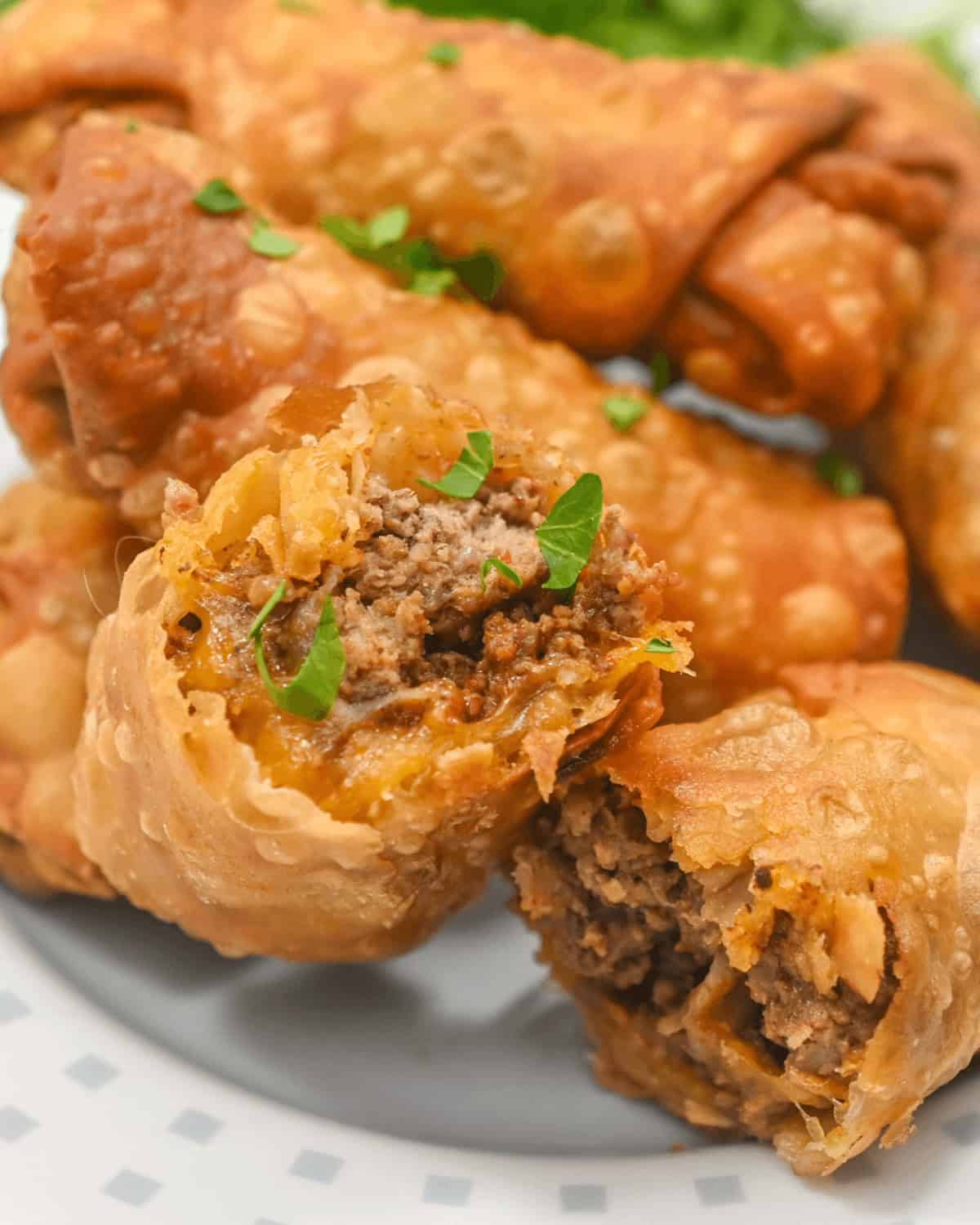 A plate of taco egg rolls.
