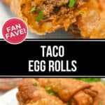 A close up of taco egg rolls.