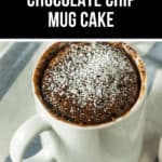 A white mug cradles a decadent chocolate chip mug cake dusted with powdered sugar. The image is aptly labeled "Triple Chocolate Chip Mug Cake.