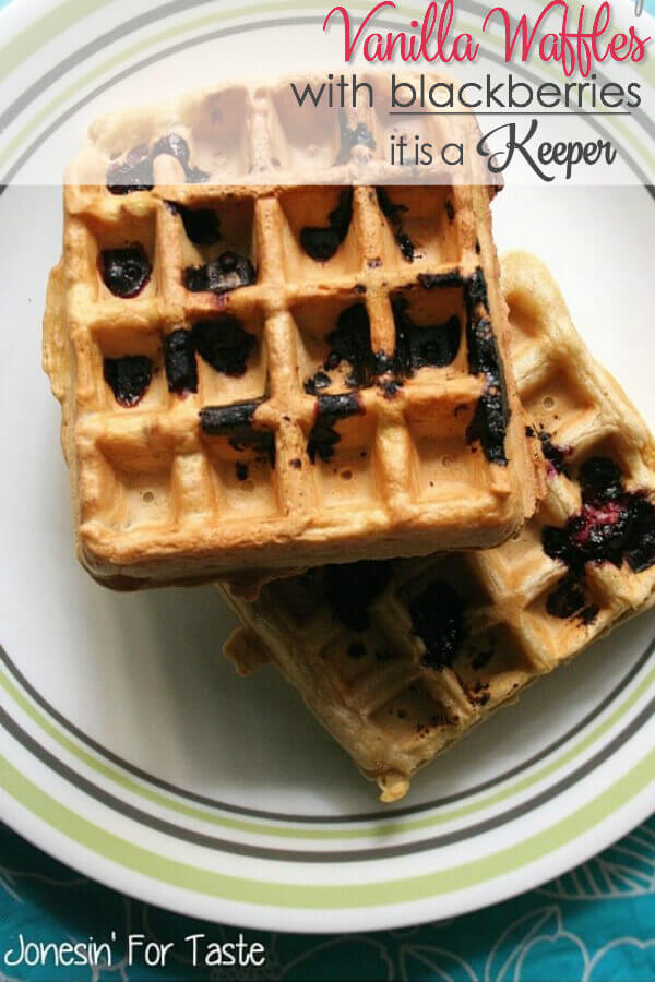 Vanilla Waffles with Blackberries on a decorative plate