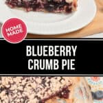 A slice of homemade Blueberry Crumb Pie on a white plate, with the pie in its dish and a serving spatula. Text overlay reads "Homemade Blueberry Crumb Pie.
