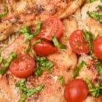 A close view of the finished Italian dish with tomatoes and fresh herbs.