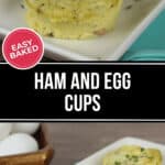 Three savory ham and egg cups garnished with herbs sit on a white rectangular plate. A red "Easy Baked" label is attached to the image.