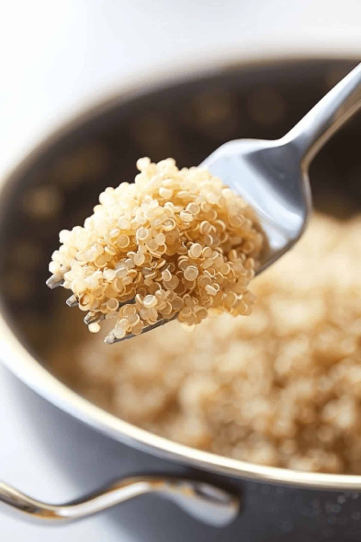 Quinoa To Water Ratio