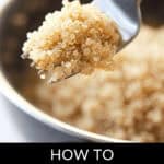 A fork holds cooked quinoa above a rice cooker. Text at the bottom reads: "Learn how to cook quinoa in a rice cooker.