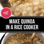 Close-up of cooked quinoa on a fork above a rice cooker filled with more quinoa, accompanied by a wooden spoon. Text reads "How to Cook Quinoa in a Rice Cooker," offering a visual guide for perfect preparation.