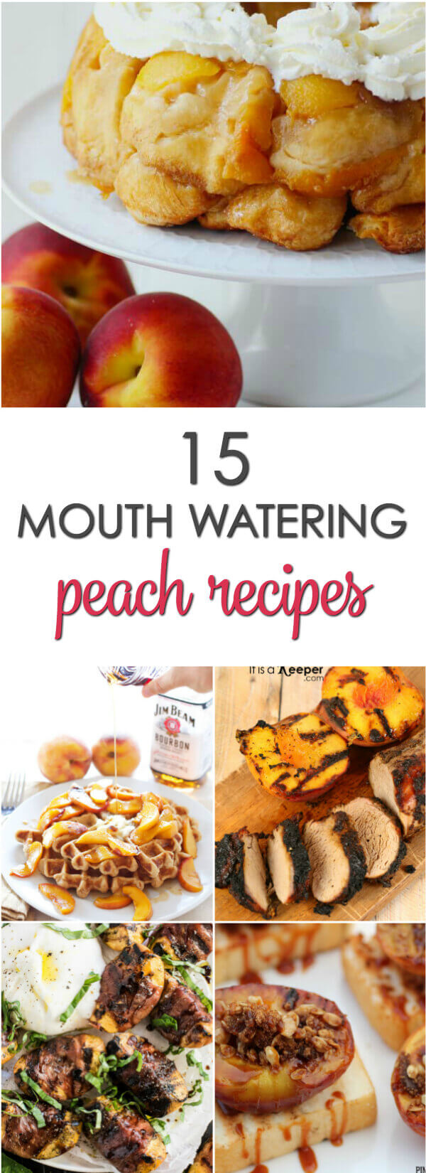 Don't let those fresh peaches go to waste.  Here are 15 fresh Peaches recipes that will please any crowd.