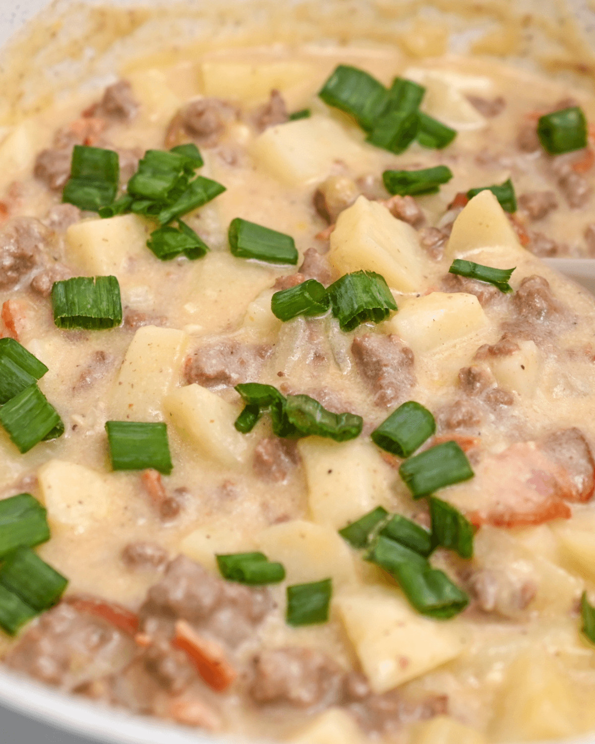 Cheesy ground meat and  vegetables topped with green onions.