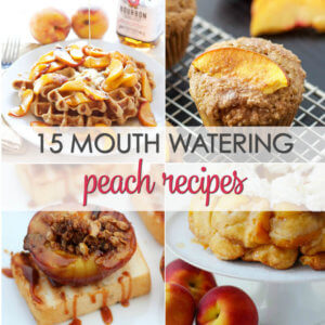 Don't let those fresh peaches go to waste.  Here are 15 fresh Peaches recipes that will please any crowd.