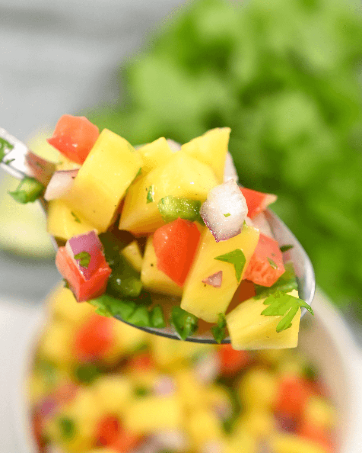 A colorful spoonful of mango salsa.