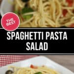 A fork holding spaghetti pasta with broccoli, cherry tomatoes, and other vegetables over a bowl. Text overlay reads, "The Best Spaghetti Pasta Salad You'll Ever Taste.
