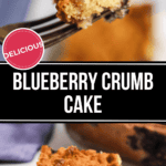 Close-up of a piece of blueberry crumb cake held by a fork with a larger portion on a plate below. Text overlay reads "Delicious Blueberry Crumb Cake.