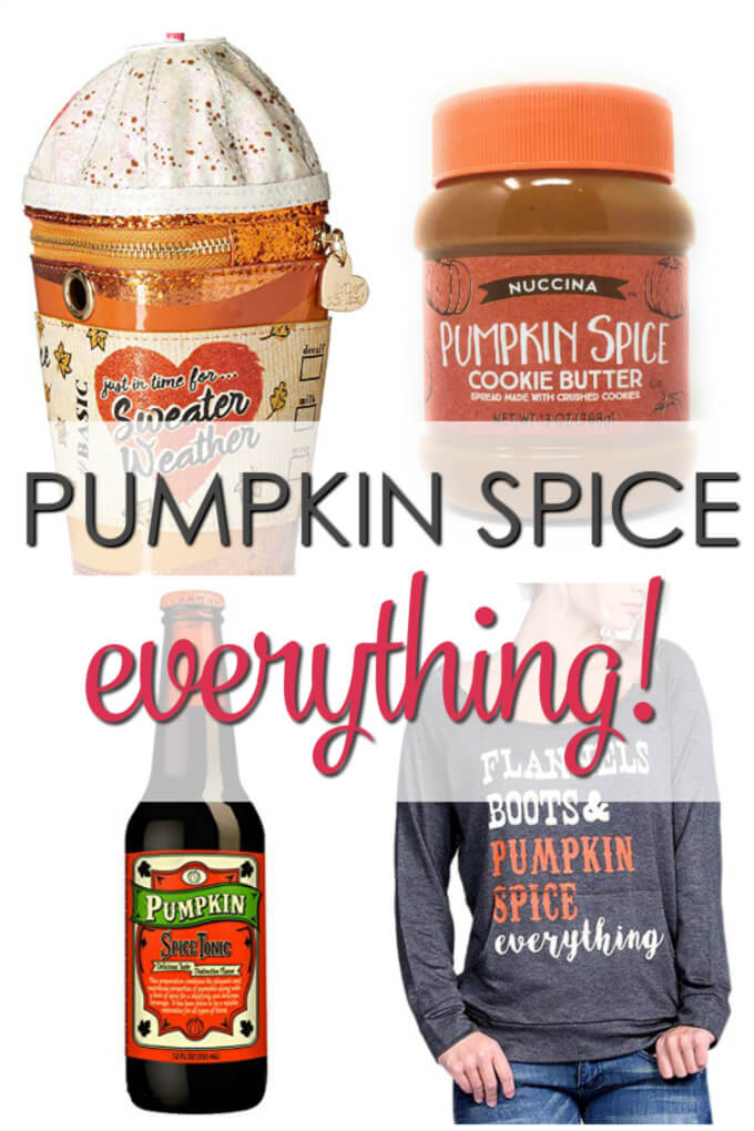 A collection of Pumpkin Spice Everything 