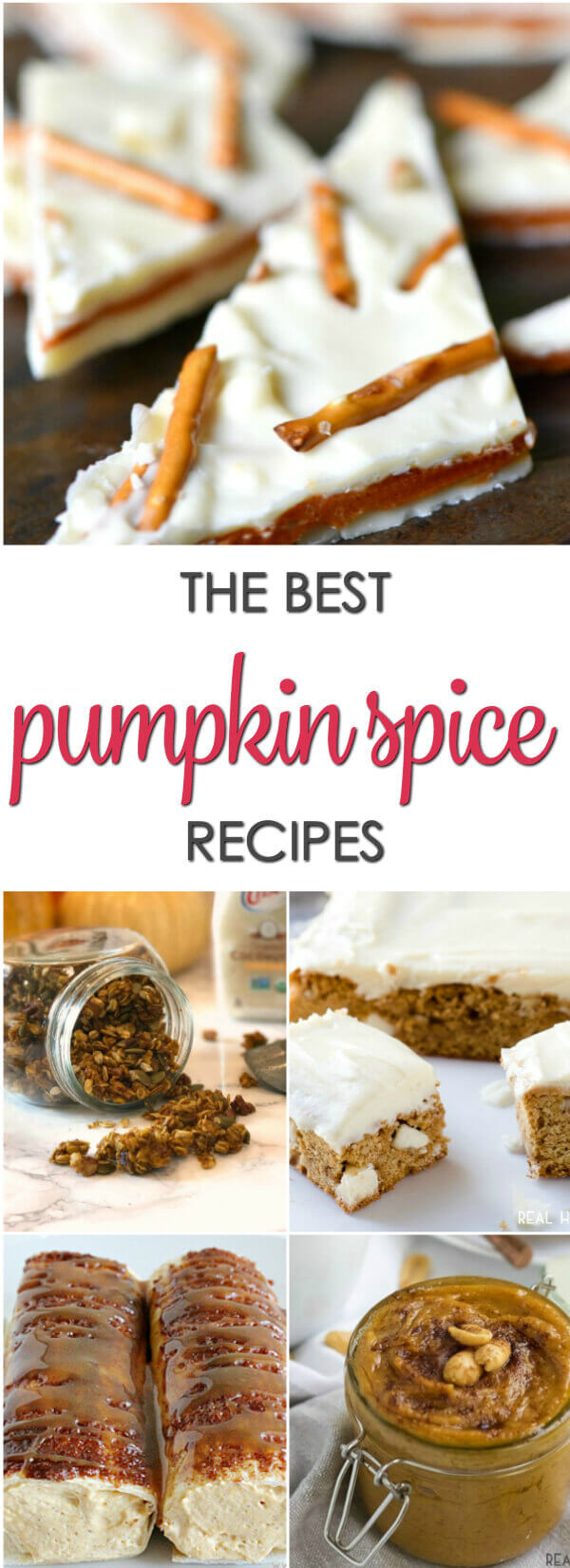 The BEST Pumpkin Spice Recipes - the best sweet and savory pumpkin spice infused recipes from across the web