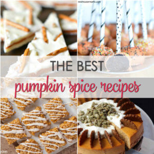 The BEST Pumpkin Spice Recipes - the best sweet and savory pumpkin spice infused recipes from across the web
