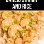 A plate of creamy garlic shrimp and rice, garnished with green onions.