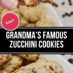 A hand holds a bitten Zucchini Cookie above a plate of more zucchini cookies, with chocolate chips and zucchini pieces visible inside each cookie.