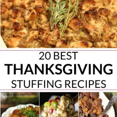 COLLECTION OF Thanksgiving stuffing recipeS