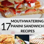 A collection of panini sandwich recipe