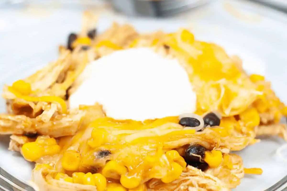 A festive dish perfect for Cinco de Mayo, featuring shredded chicken, corn, black beans, melted cheese, and a dollop of sour cream on a plate.