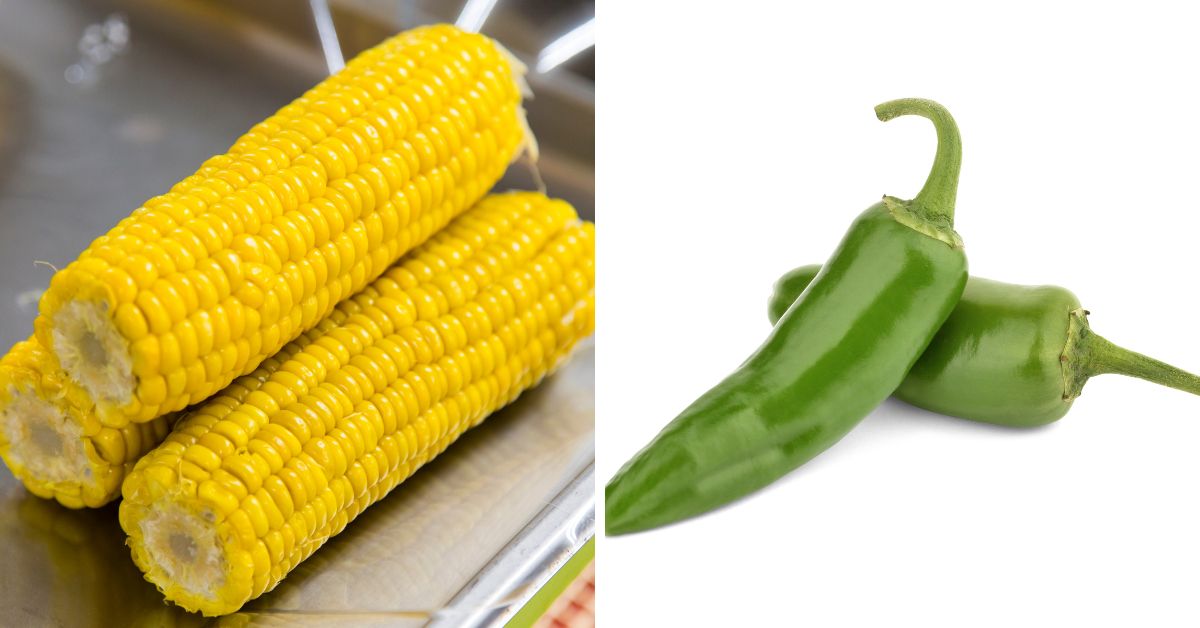 Boiled corn cobs on the left for Mexican Corn Salad and two green chili peppers on the right.