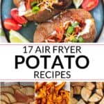 collection of air fryer potatoes recipes