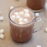 A cup of prepared homemade hot cocoa mix.