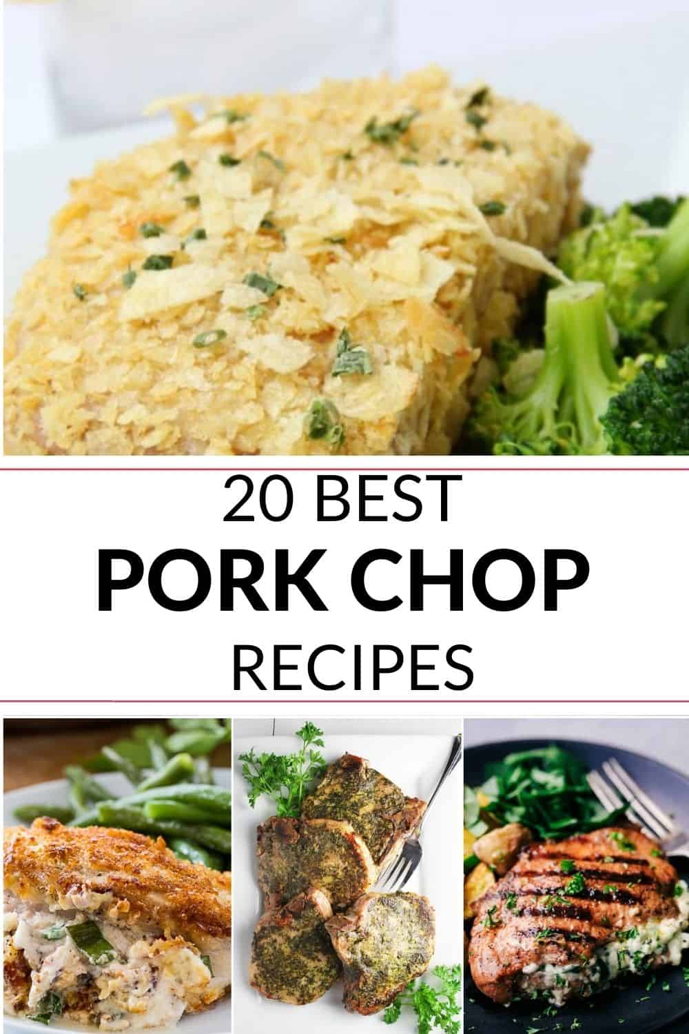 a group of the 20 best pork chop recipes 
