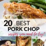 a group of the 20 best pork chop recipes