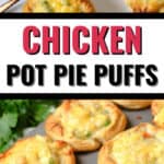 chicken pot Pie puffs
