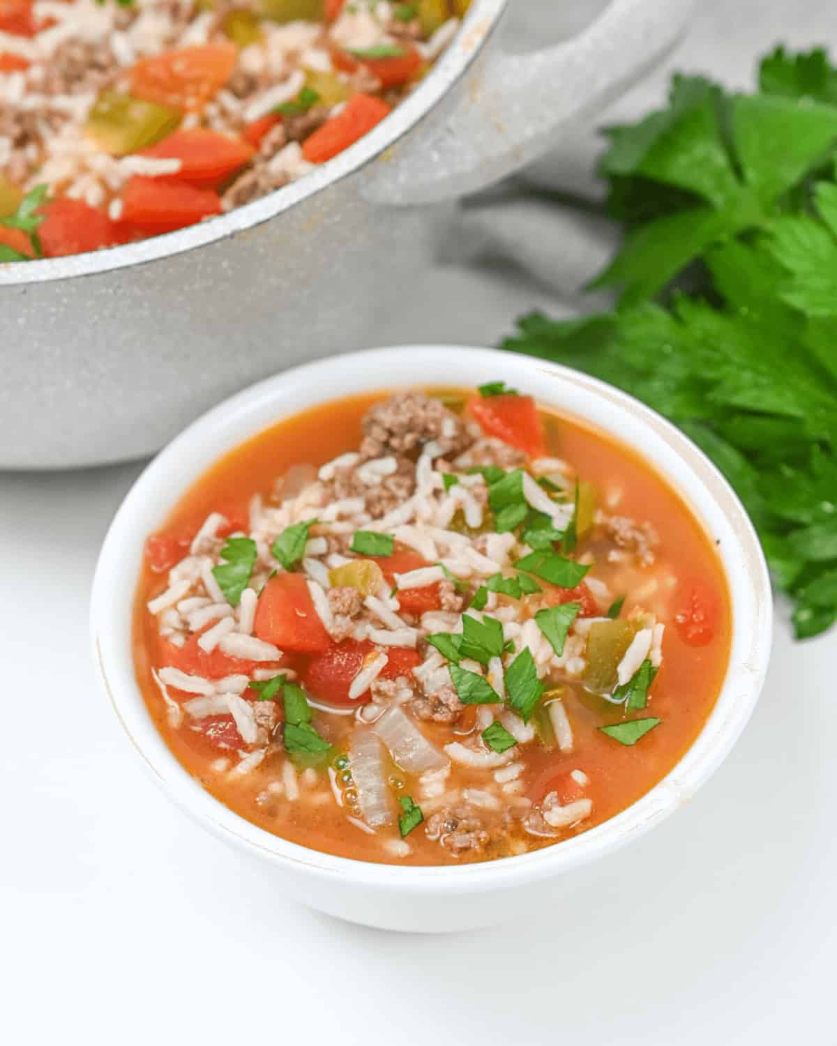 Unstuffed Pepper Soup with meat and vegetables.
