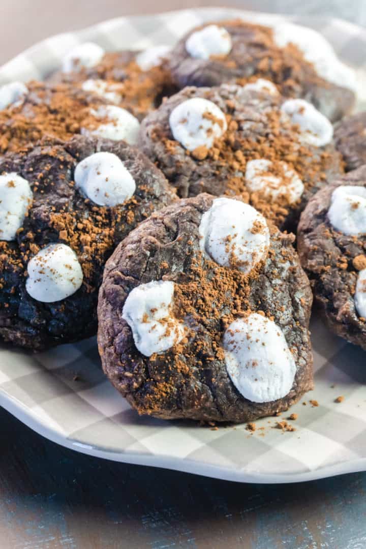 Hot Cocoa cookies sprinkled with cocoa powder on a gray and white plate 