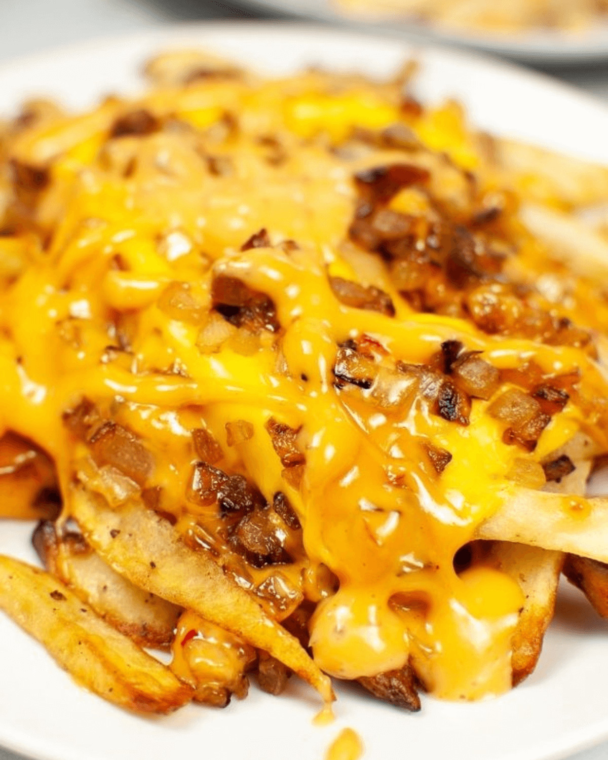A plate of loaded air fryer animal fries.